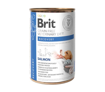 BRIT VD Dog + Cat Can - Recovery 400 g 